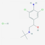 Clenbuterol Somatrop-Lab